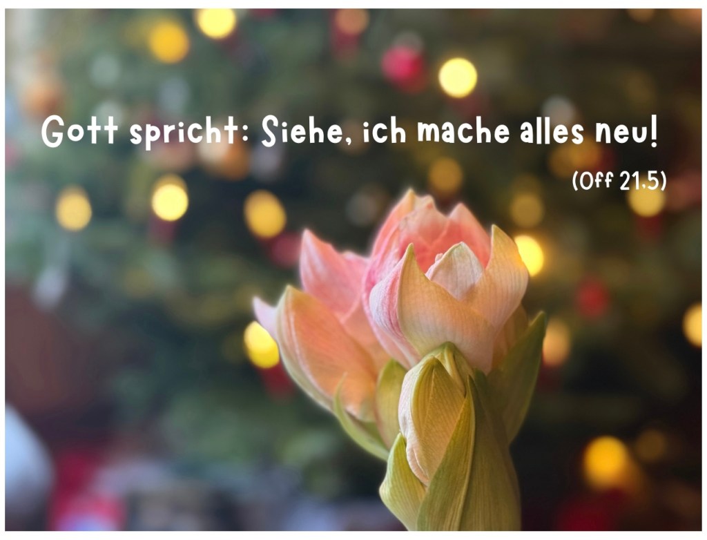 Dieses Bild hat ein leeres Alt-Attribut. Der Dateiname ist IMG_2730-1024x782.jpg